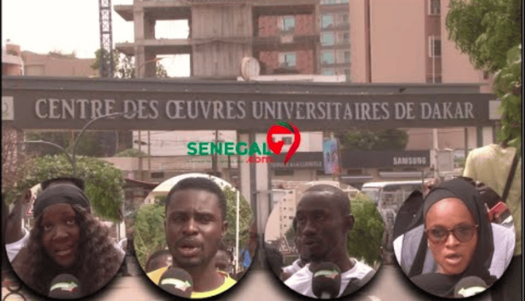 Pacification de l’espace universitaire : Les étudiants engagent le combat contre la violence