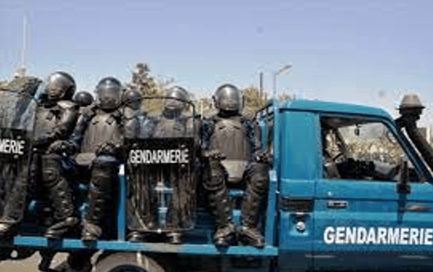 Gendarmerie nationale : Rengagement des militaires du rang des armées libérés