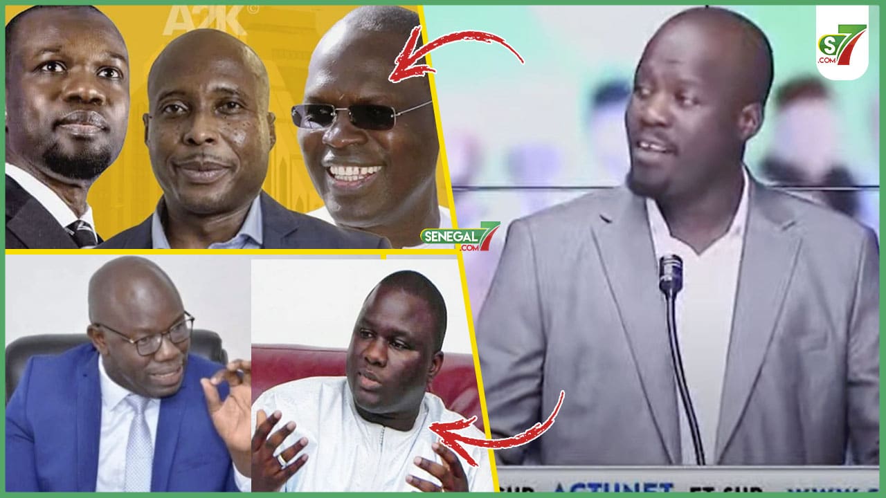 (Vidéo) Mamadou Lamine Mansaly "brule" les leaders de YAW "c'est des voleurs, des criminels..."
