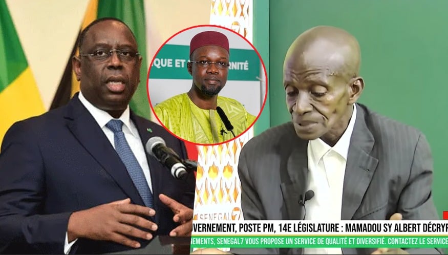 (Vidéo) Mamadou Sy Albert : "Il faut que Macky Sall intègre la fin de règne"