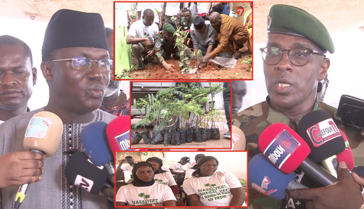 Reboisement à Diass : Le maire Mamadou Ndione plante 1150 arbres dans la commune