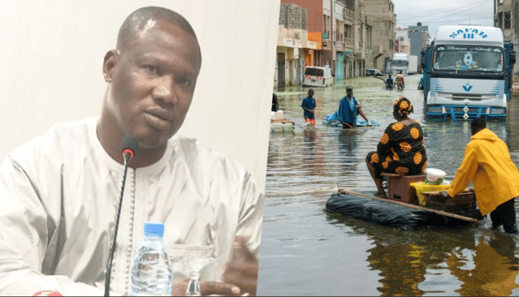 Vidéo-"Déplacer la capitale à Thiès pour vaincre les inondations" : La position de Mamadou Djigo (DG ANAT)