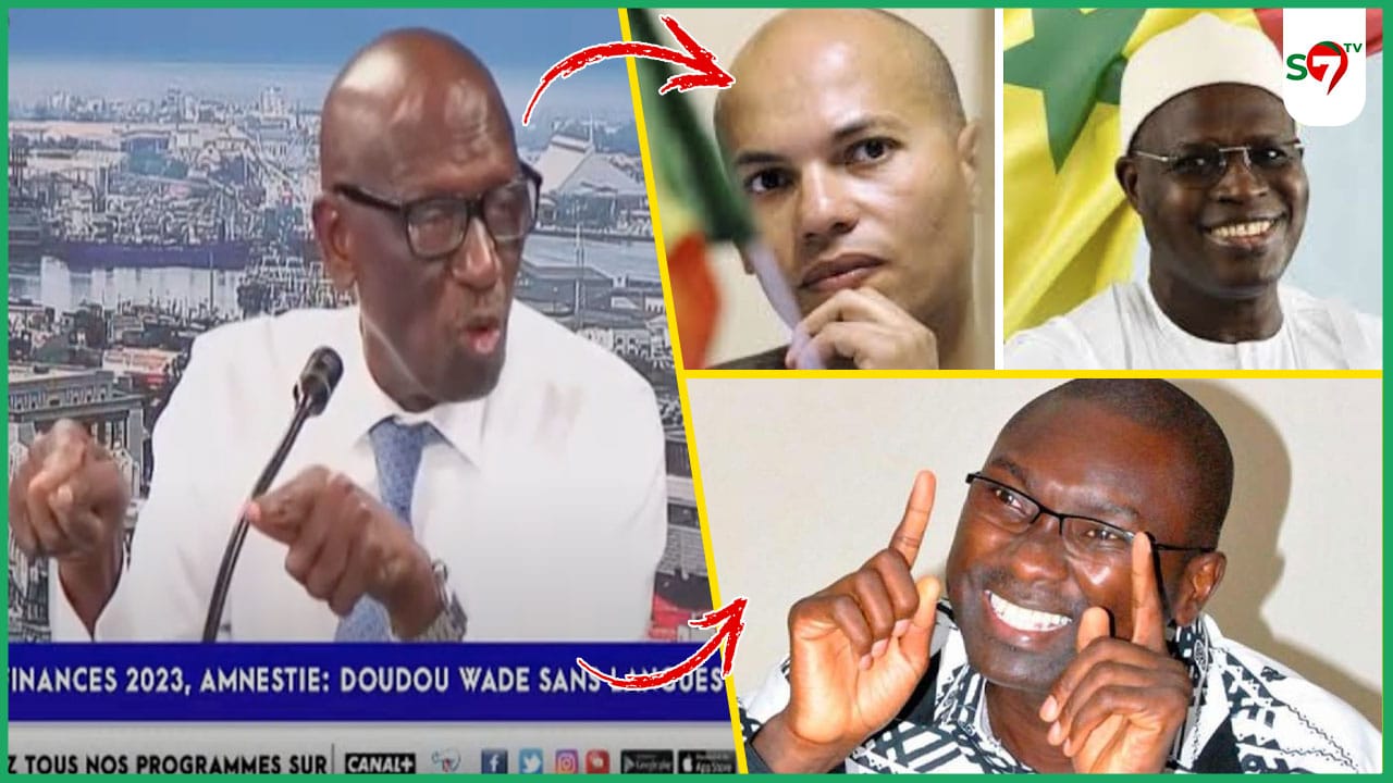 (Vidéo) Amnistie Karim & Khalifa: Doudou Wade réagit & « détruit » le Pr Ismaila Madior Fall