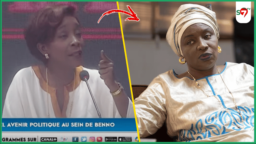 (Vidéo) Nafi Diallo, PDS "achève" Mimi Touré "c’est une manipulatrice, elle cherche la gloire"