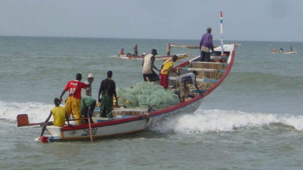 Propos sur la pêche au filet monofilament : Tirs groupés contre le Jaraf de Soumbédioune