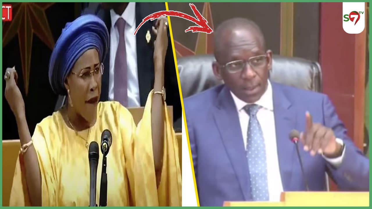 (Vidéo) Assemblée Nationale: la question pertinente de Mame Diarra Fam à Abdoulaye Diouf sarr...