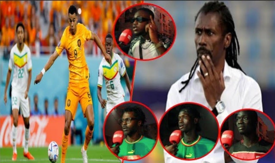(Vidéo) Défaite du Sénégal contre la Hollande : Les supporters "comprennent" le revers