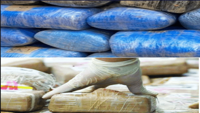Trafic de stupéfiant : Près de 1000 kg de drogue (CI et Cocaïne) saisis en moins d'une semaine