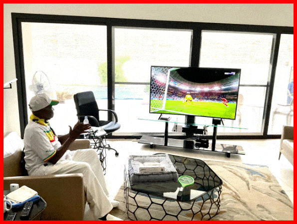 Sénégal vs Equateur : Président Wade félicite et encourage les Lions de la teranga