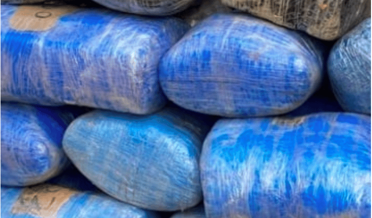 Foundiougne : La douane saisit de 507 kg de drogue