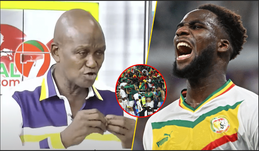 Vidéo - Réaction à chaud de Ndoffène Fall après la qualification des lions: "Boulaye a fait un match royal"
