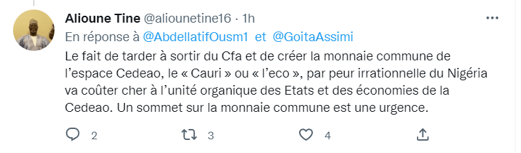 Cedeao : Alioune Tine rappelle l'urgence de mettre en place la monnaie commune