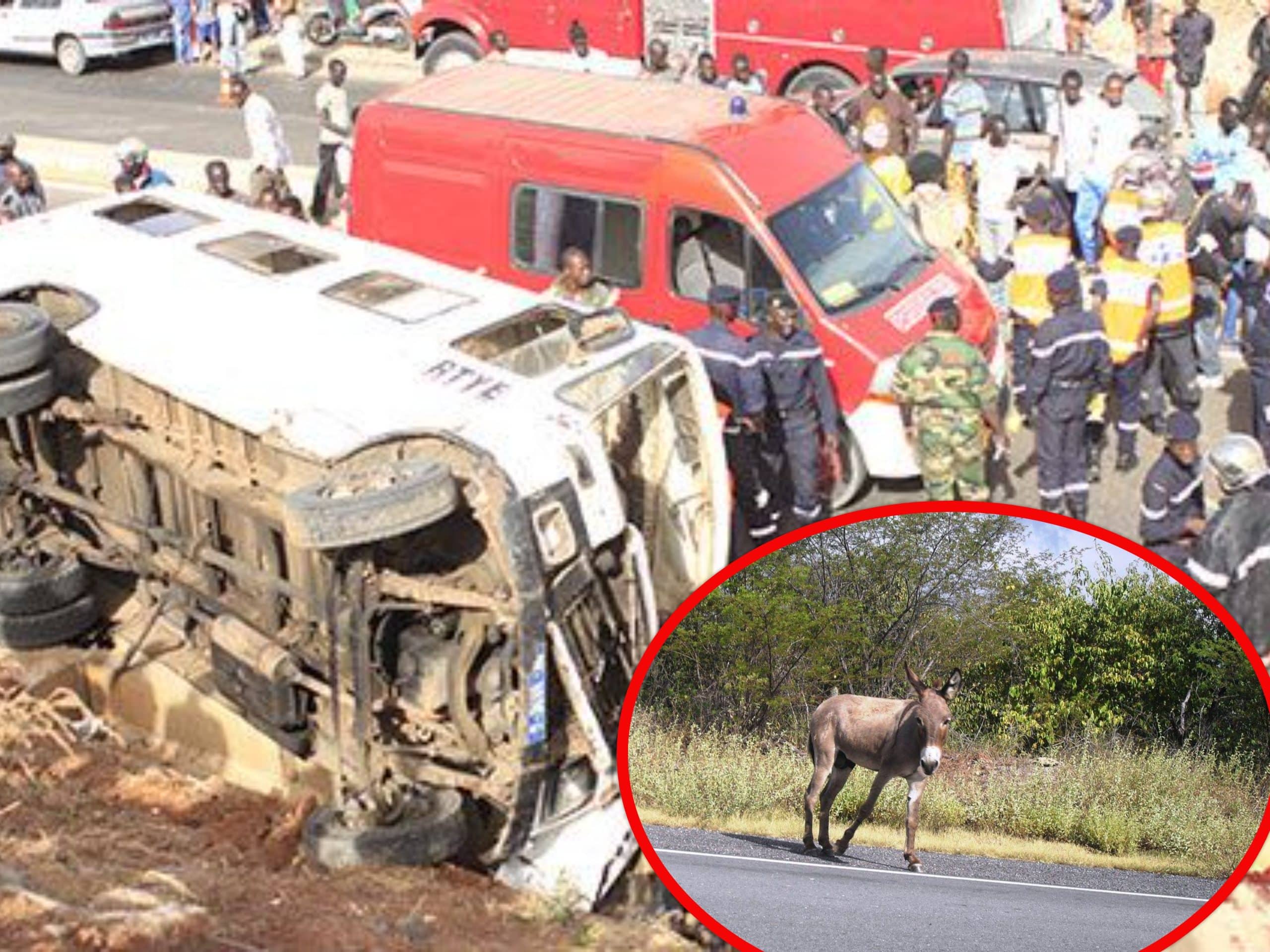 (Vidéo) Accident mortel à Sakkal : Le chauffeur du mini car évitait un âne sur la route (Témoignage)