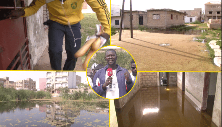 Manifs à Mbacké : Les élèves arrêtés retrouvent la liberté