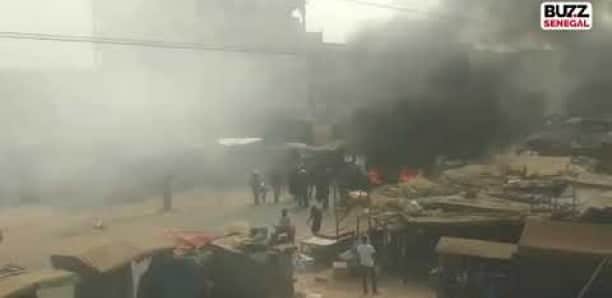 Affrontements à Bignona : Deux blessés et vingtaine de jeunes manifestants arrêtés