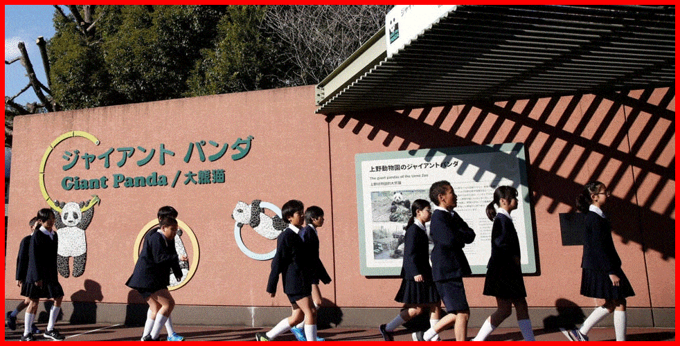 Japon : faire un bébé et réduire sa dette étudiante, l'idée qui fait scandale
