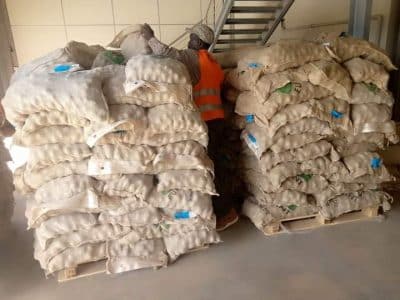 Formation sur les techniques de récolte de la pomme de terre et subvention en semences