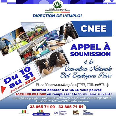 Direction de l'Emploi du Sénégal : APPEL A SOUMISSION