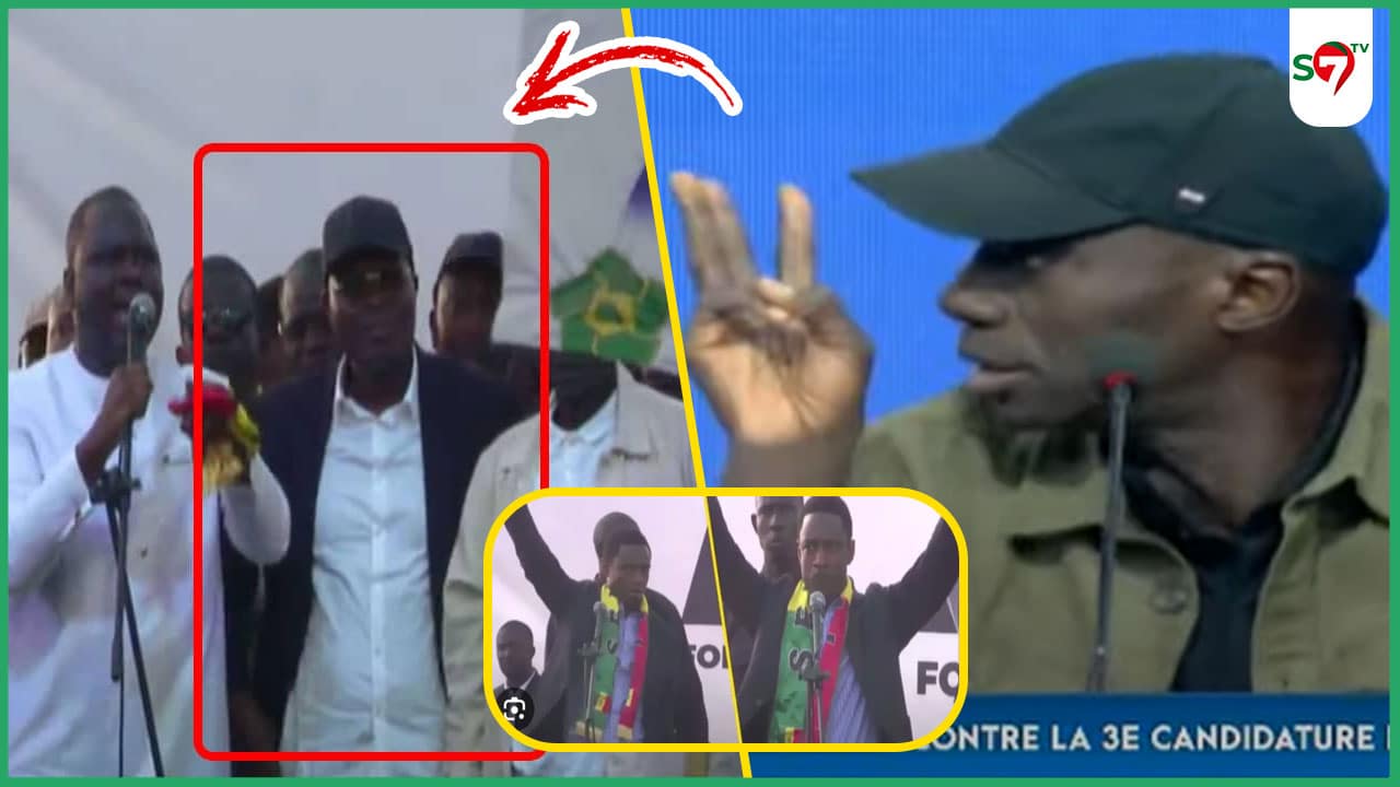 (Vidéo) Omar Faye "Li Khalifa Sall, PDF Ak Thierno Bocoum Rafétoul"