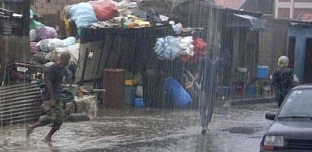 Météo : Des pluies et orages attendus à Matam, Bakel, Tamba, Casamance..., à partir de ce vendredi