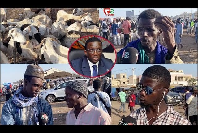 Vidéo-Tabaski : À quelques heures, le mouton coûte cher... entre 100 mille et 700 mille FCFA