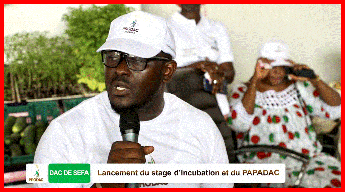 Montée en puissance des DAC, le ProDAC entre dans une phase dynamique de poursuite de sa mission de création d'emplois.