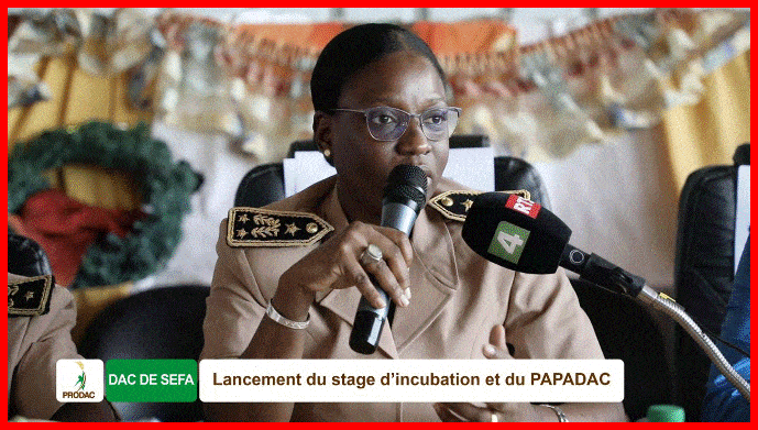 Montée en puissance des DAC, le ProDAC entre dans une phase dynamique de poursuite de sa mission de création d'emplois.