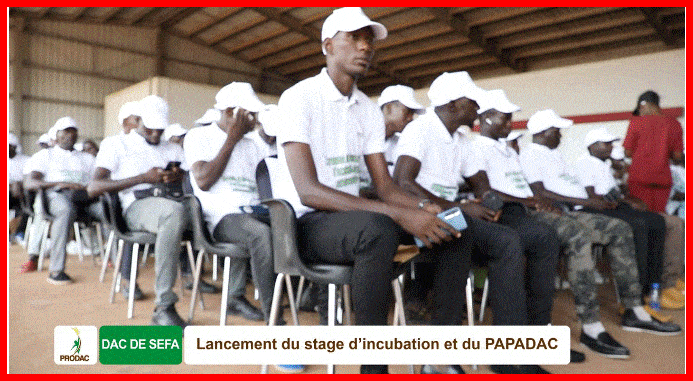 Montée en puissance des DAC, le ProDAC entre dans une phase dynamique de poursuite de sa mission de création d'emplois.