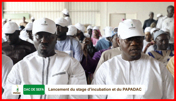 Montée en puissance des DAC, le ProDAC entre dans une phase dynamique de poursuite de sa mission de création d'emplois.