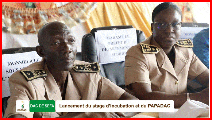 Montée en puissance des DAC, le ProDAC entre dans une phase dynamique de poursuite de sa mission de création d'emplois.