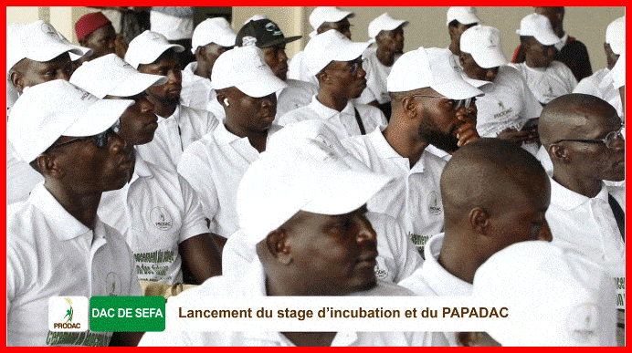 Montée en puissance des DAC, le ProDAC entre dans une phase dynamique de poursuite de sa mission de création d'emplois.