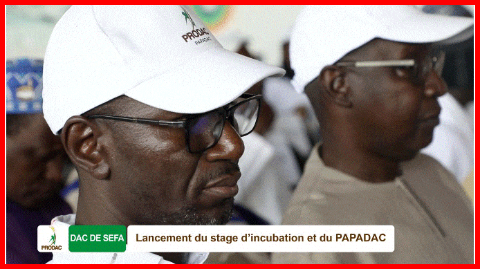 Montée en puissance des DAC, le ProDAC entre dans une phase dynamique de poursuite de sa mission de création d'emplois.