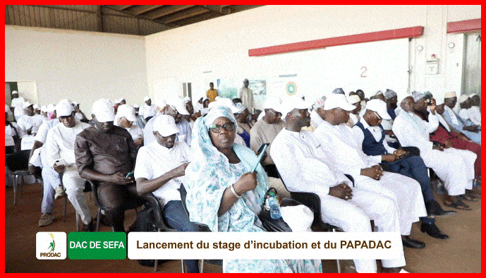 Montée en puissance des DAC, le ProDAC entre dans une phase dynamique de poursuite de sa mission de création d'emplois.