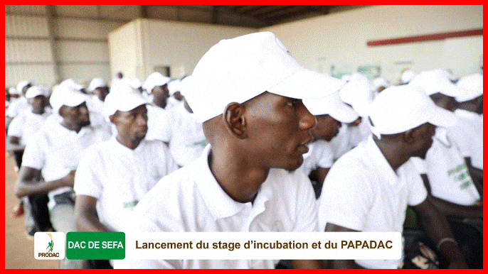 Montée en puissance des DAC, le ProDAC entre dans une phase dynamique de poursuite de sa mission de création d'emplois.