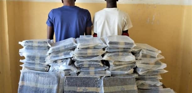 Nguéniène : la gendarmerie de Joal saisit 210 kg de chanvre indien 