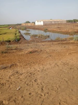 Fortes pluies à Dagana : Un père de famille meurt suite à la foudre