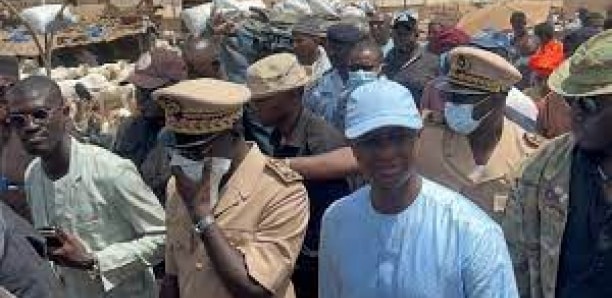 Antoine Diome annonce le rapatriement de 276 Sénégalais placés dans un centre de rétention à Dakhla