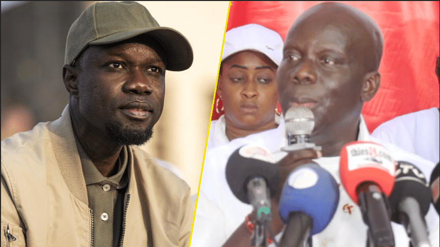 (Vidéo) - Grand Parti: Malick Gackou Toujours proche de Ousmane Sonko