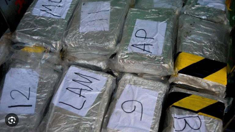 Espagne: Une saisie record de 9,5 tonnes de cocaïne en provenance d'Équateur