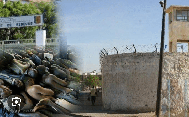 Surpopulation carcérale : Seydi Gassama craint une mutinerie à Rebeuss
