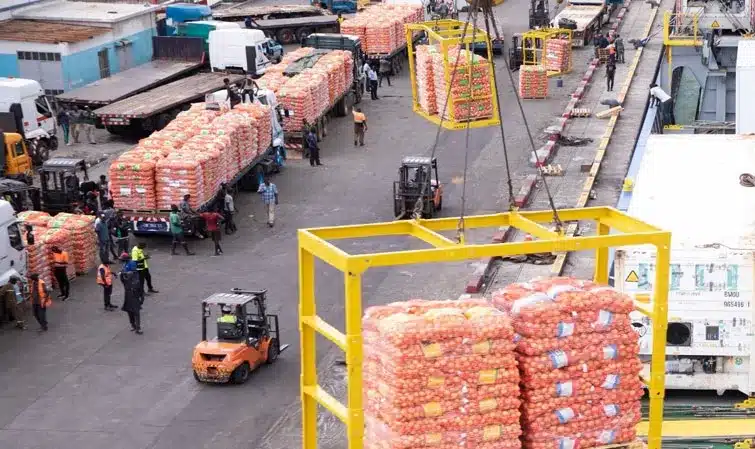 Port autonome de Dakar: 8.635 tonnes d’oignons réceptionnées