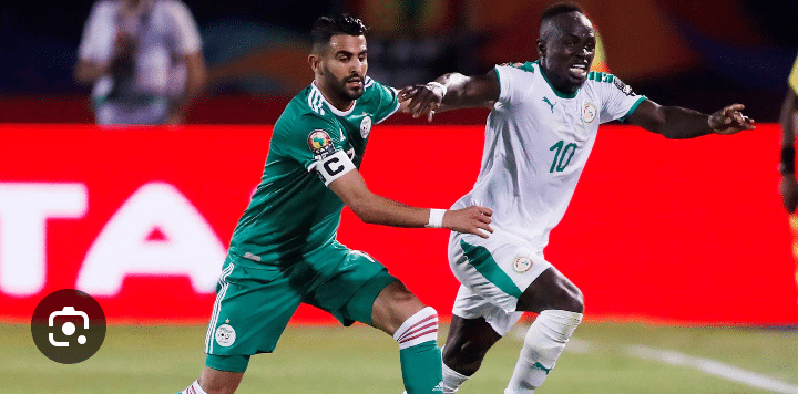 Sénégal vs Algérie : Les Lions ont entamé la préparation du match contre les Fennecs d’Algérie