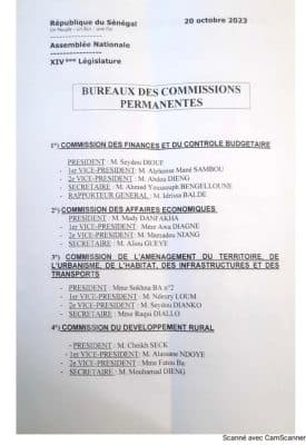Assemblée nationale : les membres des commissions révélés