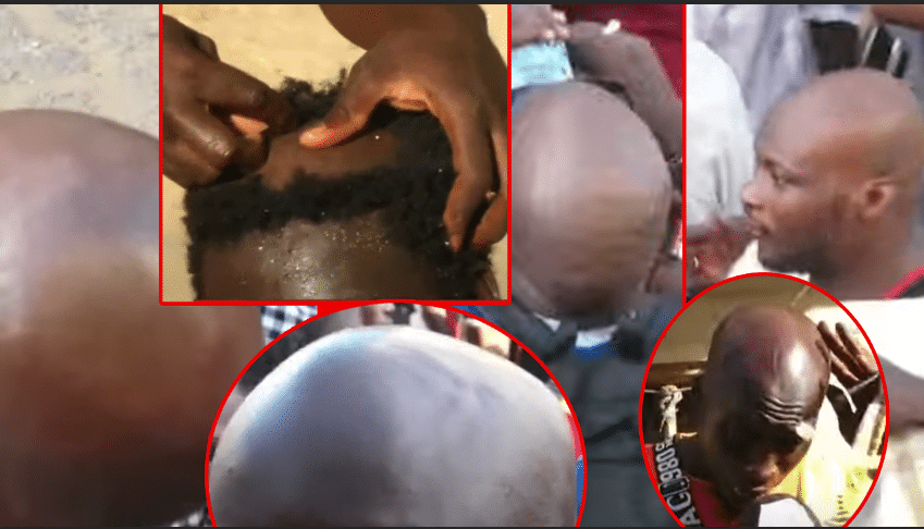 Insolite à Pikine - Combat contre Modou Lo : Ama Baldé rase (Ndél) ses supporters (Vidéo)