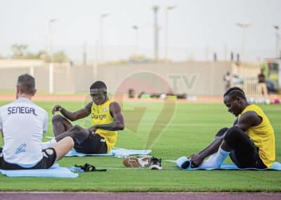 Équipe nationale : Un groupe de 14 joueurs pour le premier galop d’entraînement des lions .