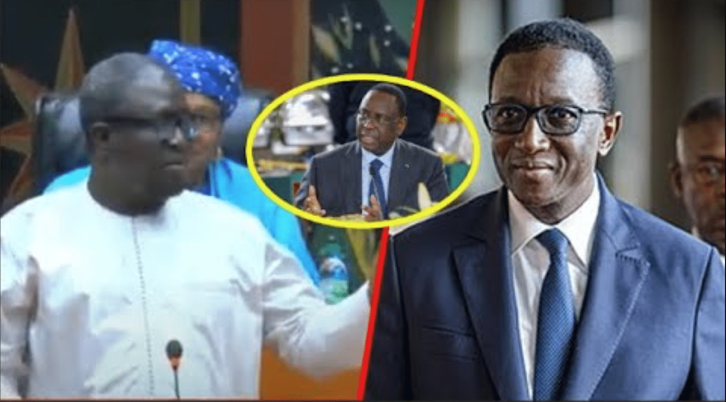 (Vidéo) Candidat de la continuité - Ayib Daffé tance Amadou Ba : "Day Kharou..."