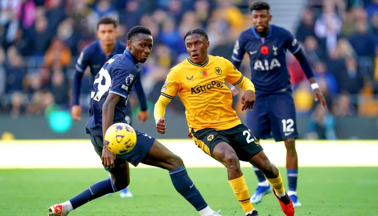 Premier League : Wolverhampton renverse Tottenham (2-1)