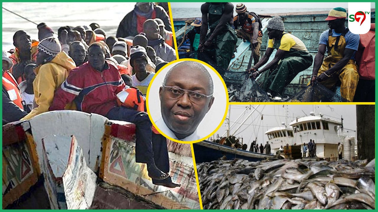 Cause de l’émigration : La pêche artisanale en sursis avec ses 600.000 acteurs