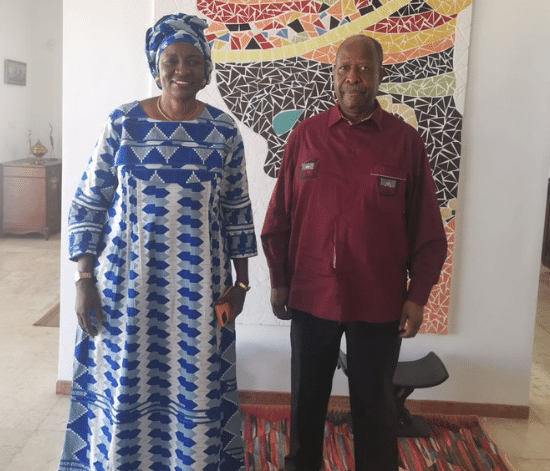 Situation du pays : Mimi Touré rencontre le Représentant Spécial de l’ONU pour l’Afrique de l’Ouest