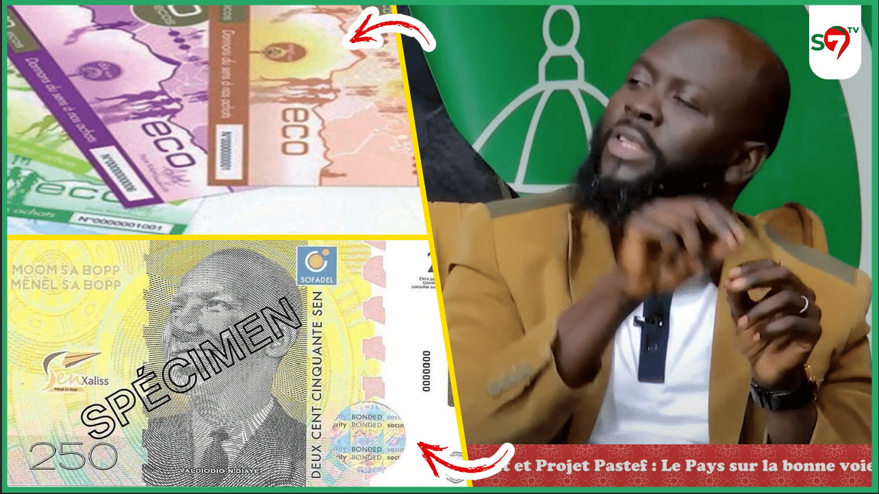 (Vidéo) Nouvelle Monnaie: Dr Babo Amadou Ba, Pastef apporte des précisions de taille